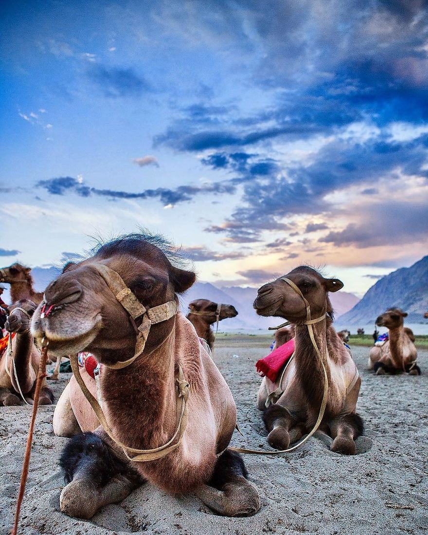 This Instagram Account About Himalayas Will Make You Pack Your Bags And Travel! This Instagram Account About Himalayas Will Make You Pack Your Bags And Travel!
