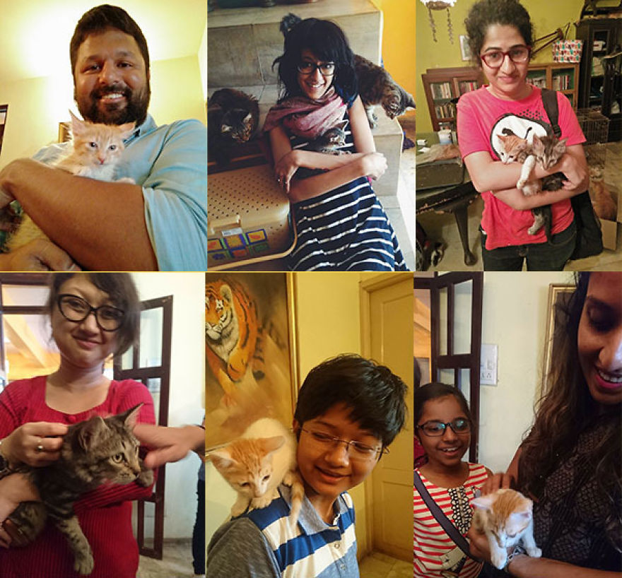 The Couple That Is Creating Bangalore's First Cat Sanctuary The Couple That Is Creating Bangalore's First Cat Sanctuary