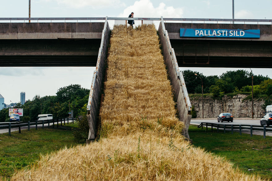 Soviet Urban Planning Living A New Life:
An Urban Barley Field Installation Soviet Urban Planning Living A New Life:
An Urban Barley Field Installation