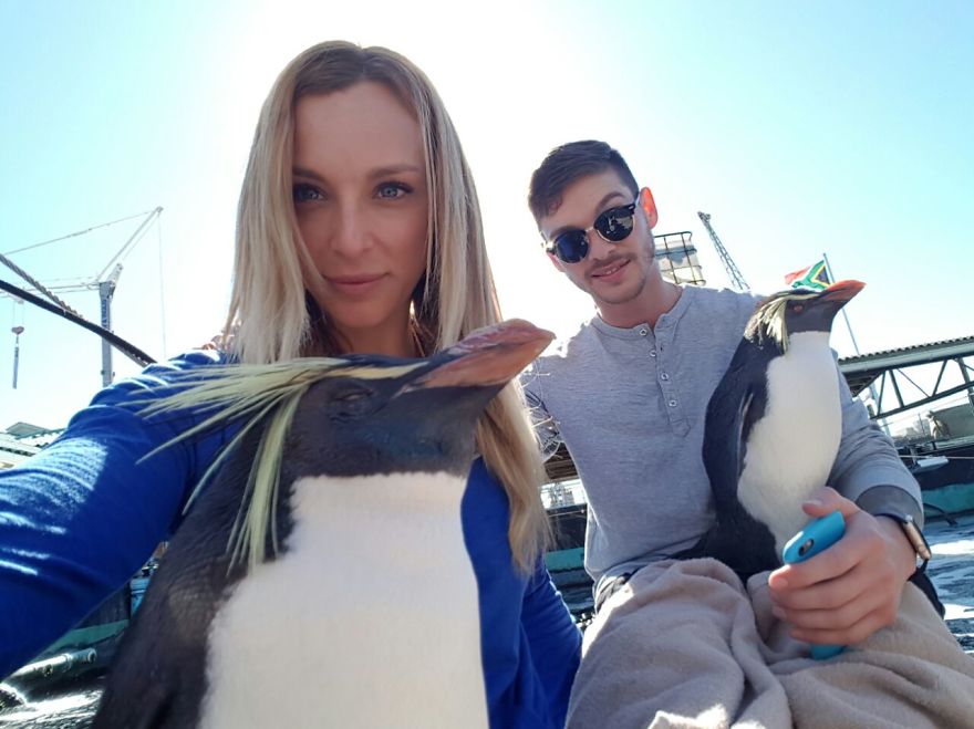 Wildlife Warriors #gowildforwildlife Wildlife Warriors #gowildforwildlife