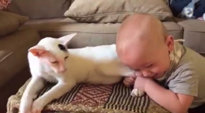 They Were Not Sure How Their Adopted Cat Would React To Their Baby