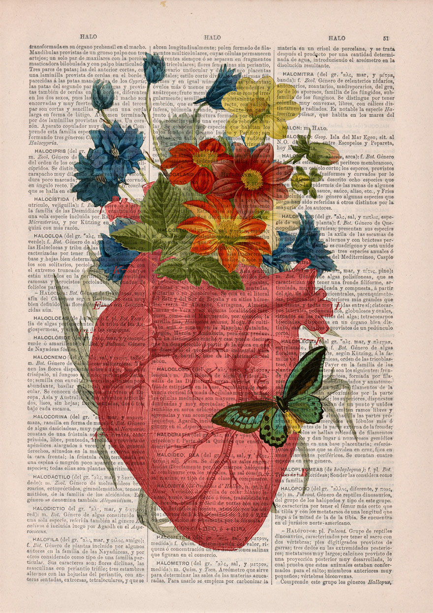 Floral Anatomical Illustrations Breathe New Life Into Old Discarded Books