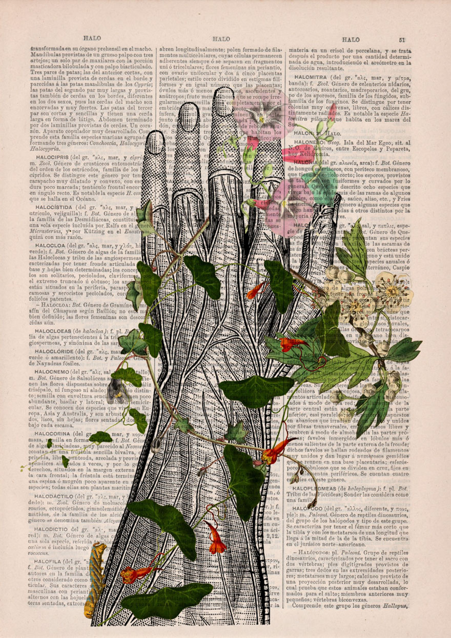 anatomy-illustrations-old-book-pages-prrint-19