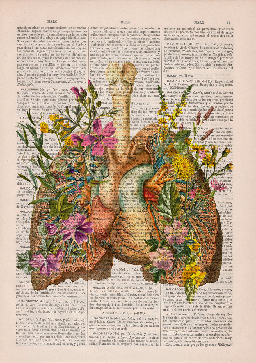 anatomy-illustrations-old-book-pages-prrint-5