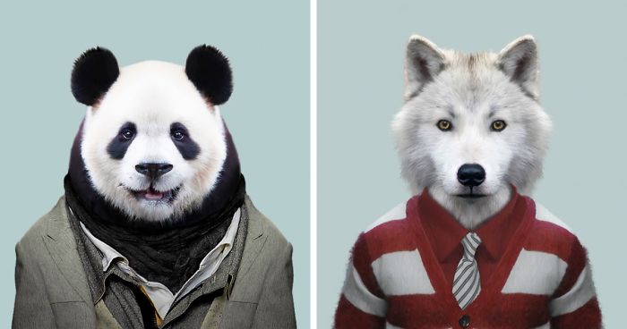 This Artist Spent 3 Years 'Dressing' Zoo Animals Like Humans And The  Clothes Fit Unbelievably Well | Bored Panda