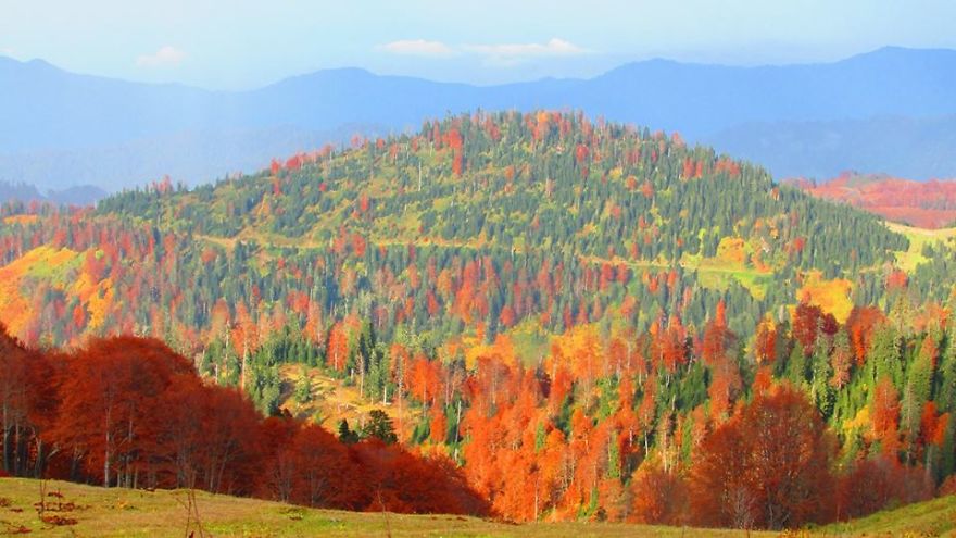 The Most Beautifuli Mountain Resort Area In Georgia. Bakhmaro