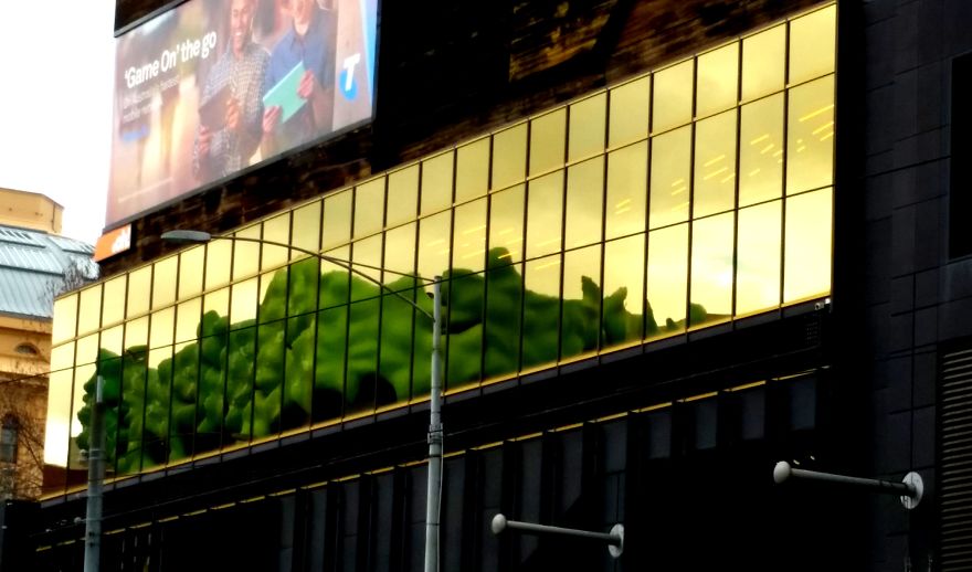 Building Reflections
