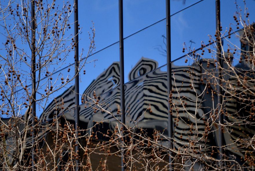 Building Reflections