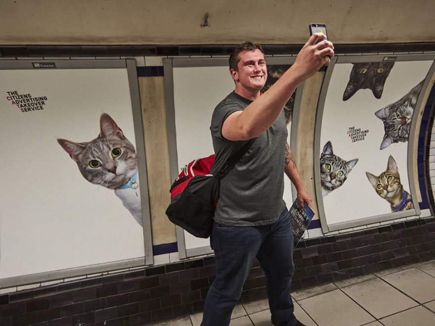 cat-ads-underground-subway-metro-london-8