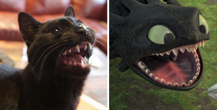 Not So Toothless