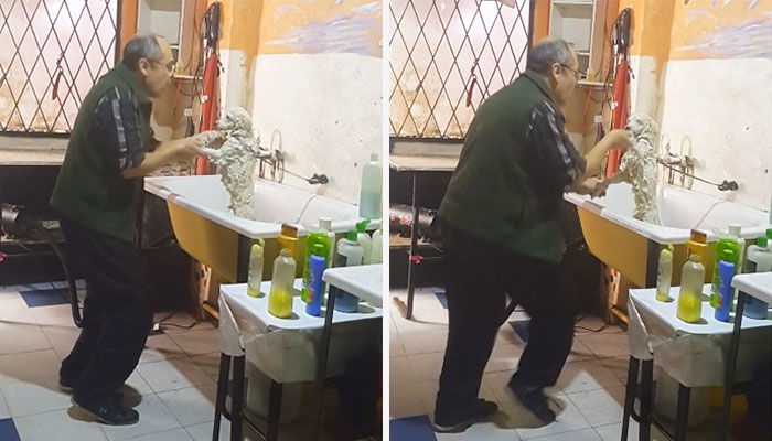 This Pet Groomer Caught Dancing With A Client's Dog Will Melt Your Heart
