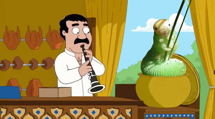 Family Guy's Dancing Caterpillar