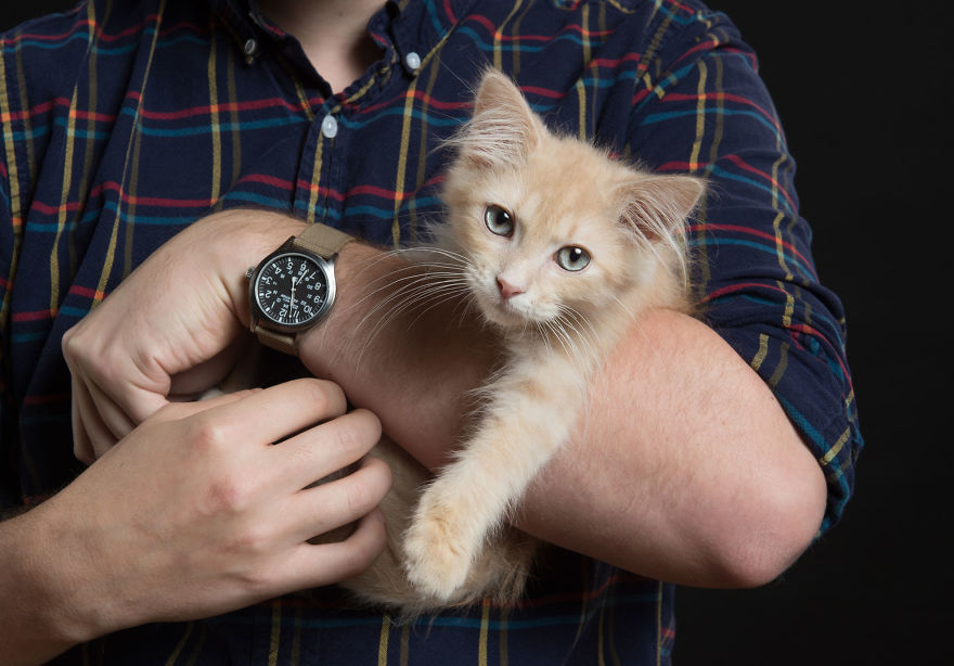 These 14 Felines And Fellas Posed For A Fundraising Calendar