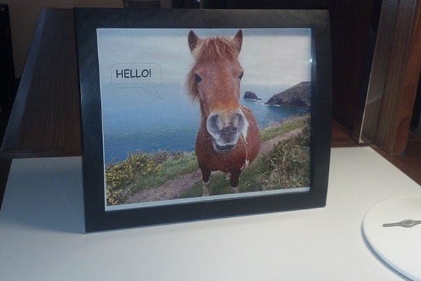 Every Time My Girlfriend And I Go On A Vacation, I Ask For A Picture Of Horse Saying "Hello!" In The "Special Requests" Section Of The Reservation Form. Finally, A Hotel Delivers