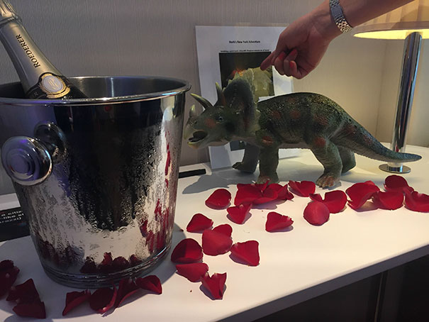 When I Booked My Hotel A Few Months Ago, I Put In A Few Special Requests As A Joke... Champagne, Roses And A Plastic Dinosaur