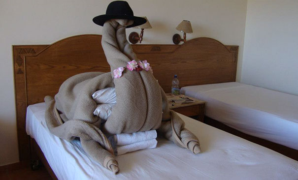 I Asked for A Camel In My Hotel Room
