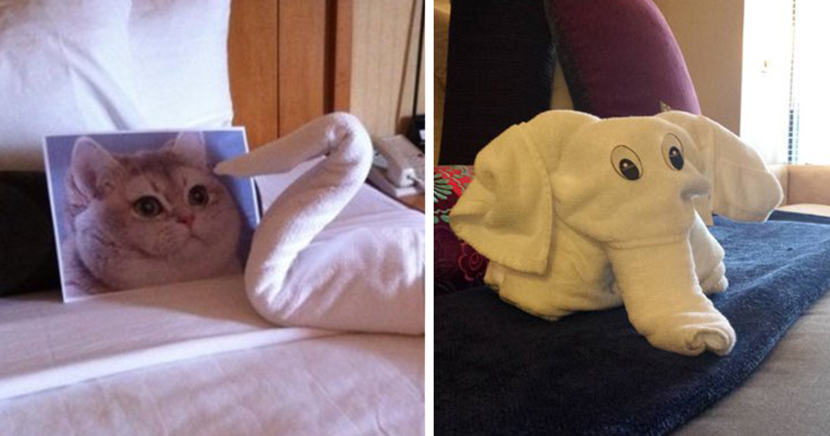 These Guys Trolled Hotel Staff With Ridiculous Room Requests, And Hotels  Delivered | Bored Panda