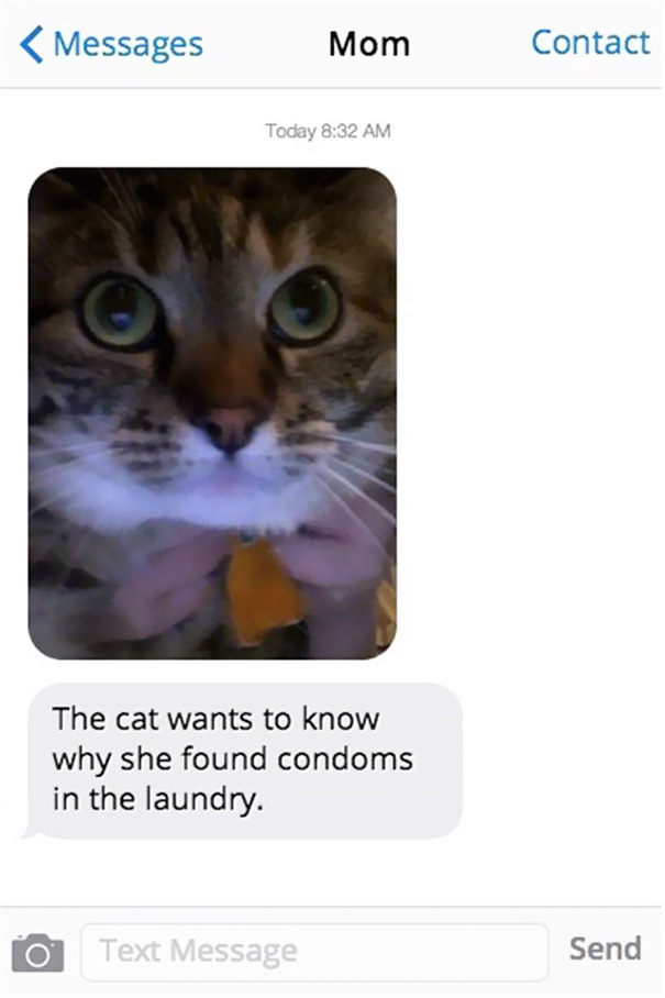 The Cat Wants To Know