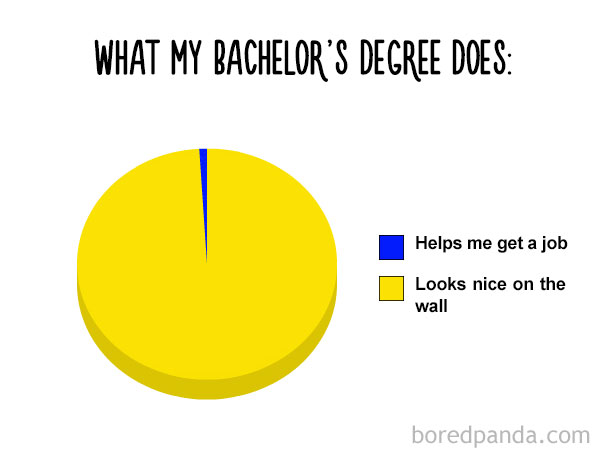 What My Bachelor's Degree Does