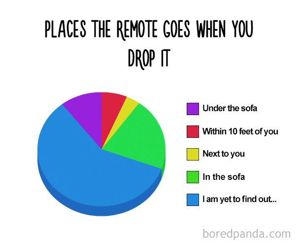 Places The Remote Goes When Youu Drop It