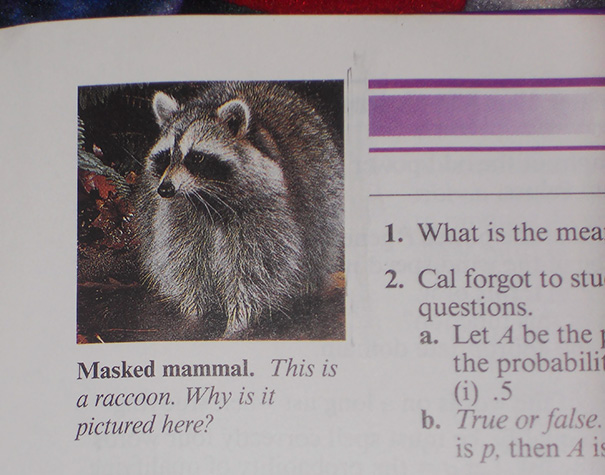 That's An Interesting Question, Math Textbook