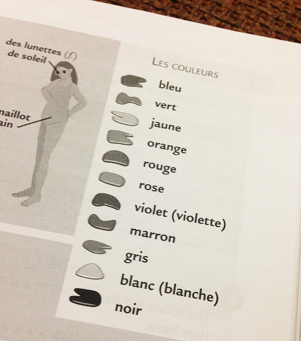 My Friend's French Textbook Tried To Explain Colours, Forgetting That It Was In Black And White