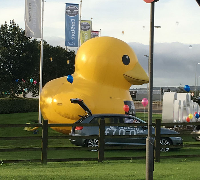 giant-inflatable-duck-motorway-peter-vardy-glasgow-3
