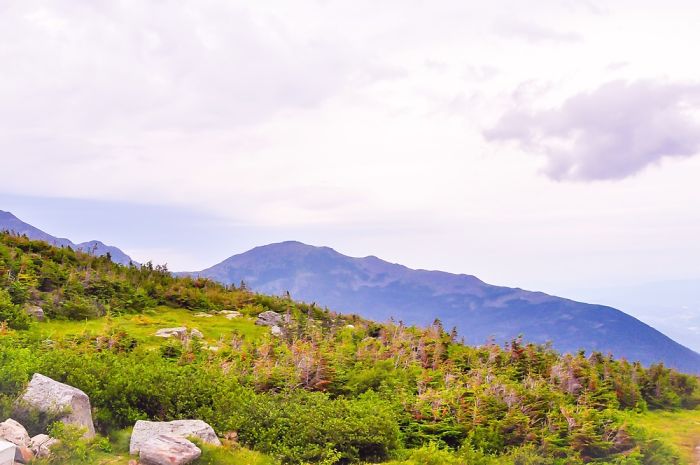 Some Random Clicks From Our Road Trip To Ne Parts Of Usa