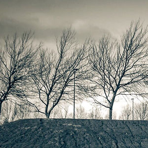 janeijk.photography