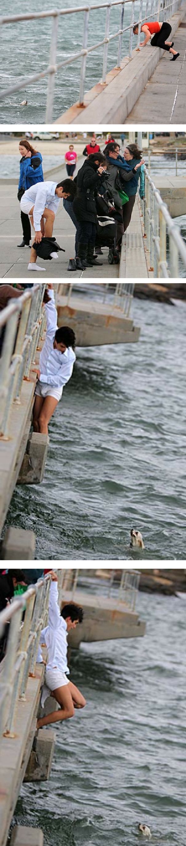 People Proving Her Love For Animals People Proving Her Love For Animals