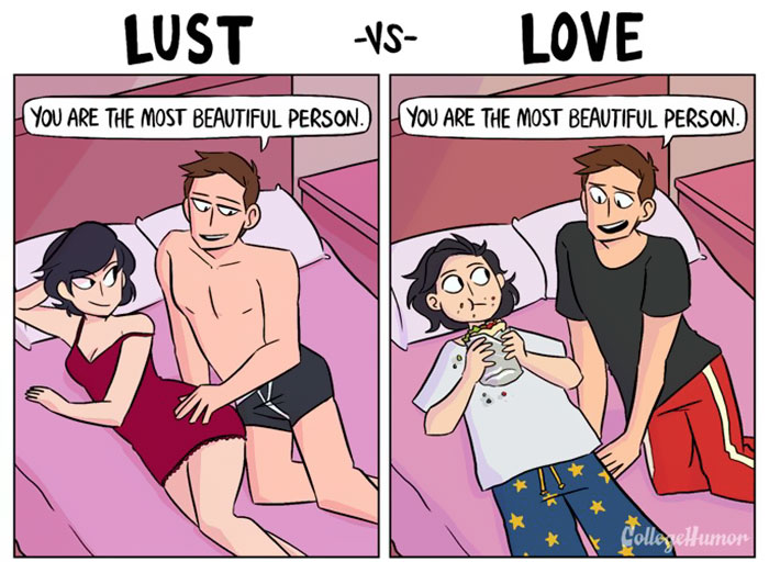 Love Vs. Lust | Bored Panda
