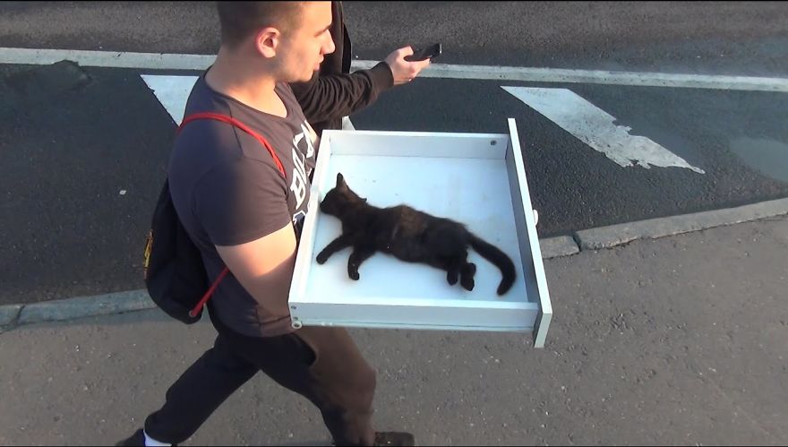A Kitten Is Saved From Certain Death In Russia