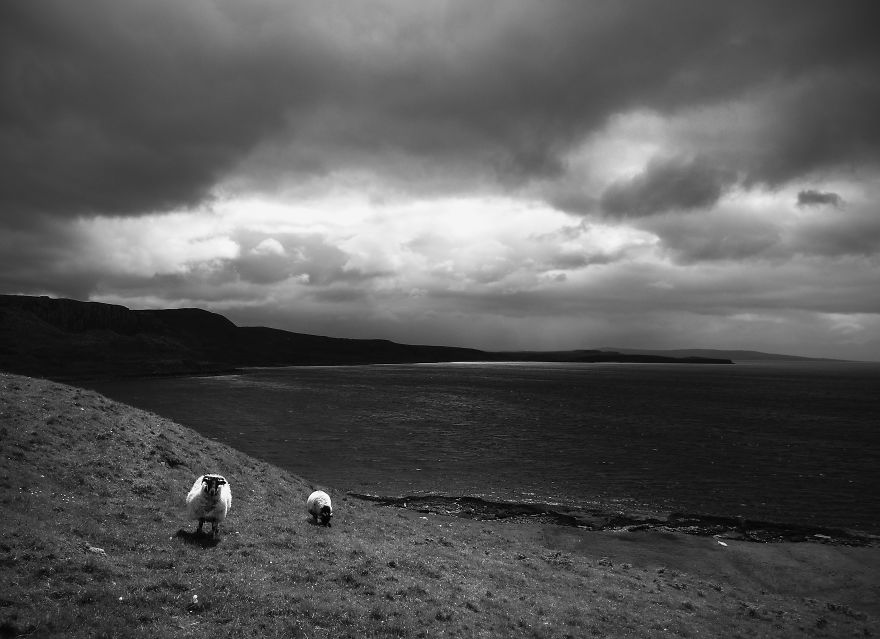 I Was Hitch-hiking Through Scotland For 1 Week.