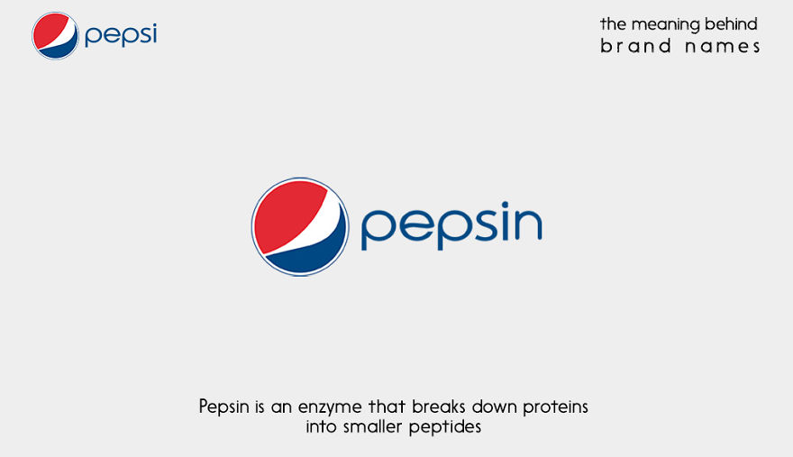 The Meaning Behind 10 Brand Names