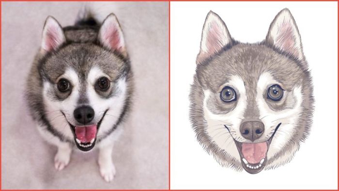 We Hired 13 Artists To Draw Our Dog, Kobi. Here's How They Turned Out!