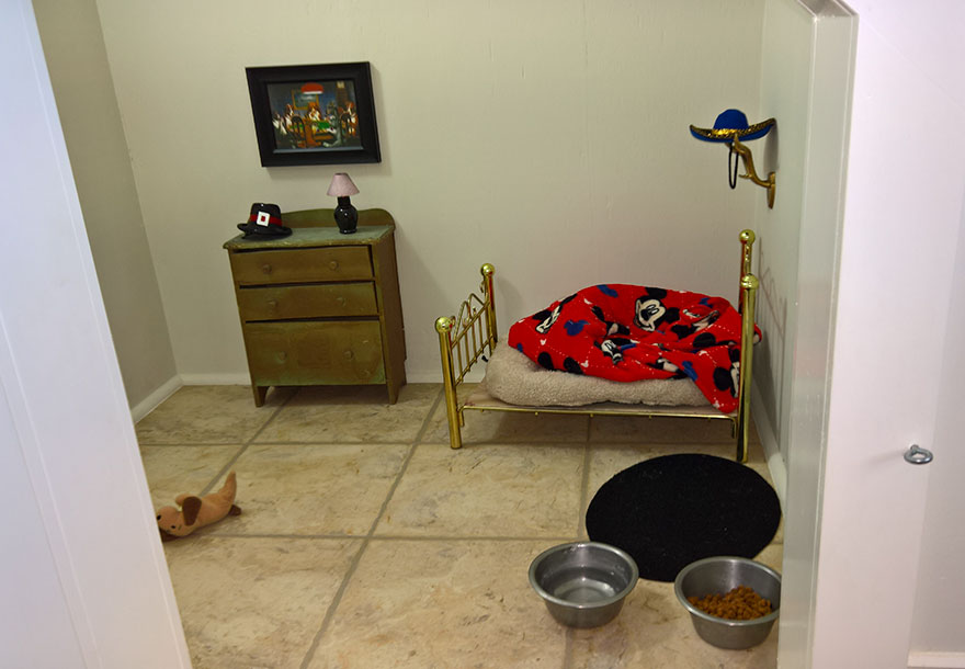 This Woman Built Her Dog A Bedroom Under The Stairs And ...