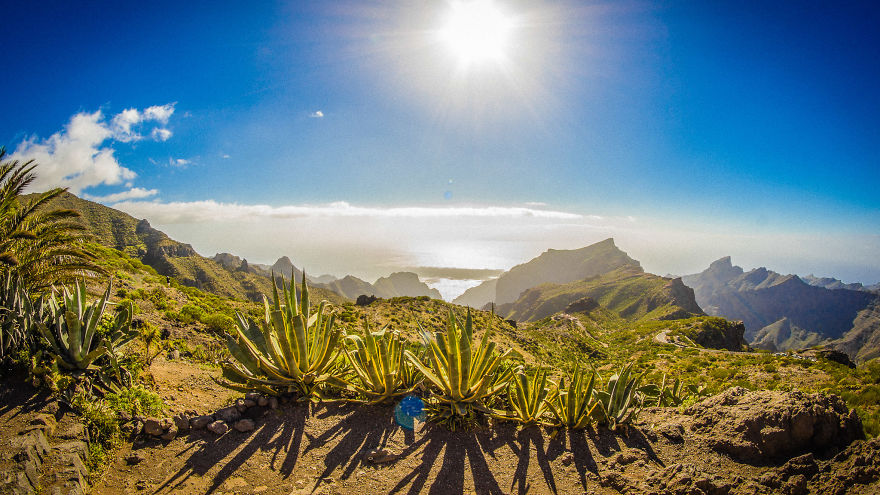 I Went On A 3-Month-Long Solo Adventure In Tenerife