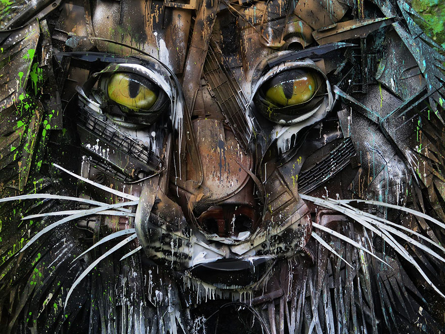 Lynx Face Detail