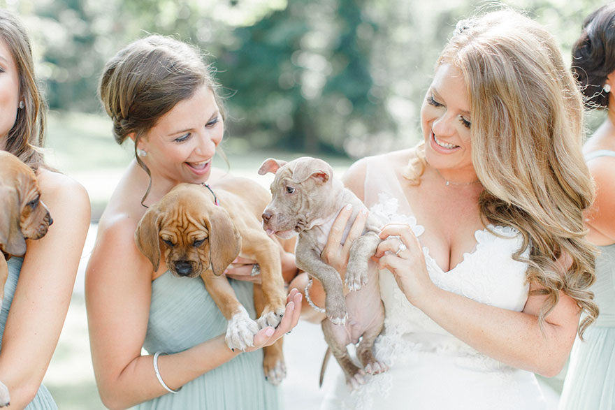 This Wedding Party Had Rescue Puppies Instead Of Flowers To Send A Beautiful Message