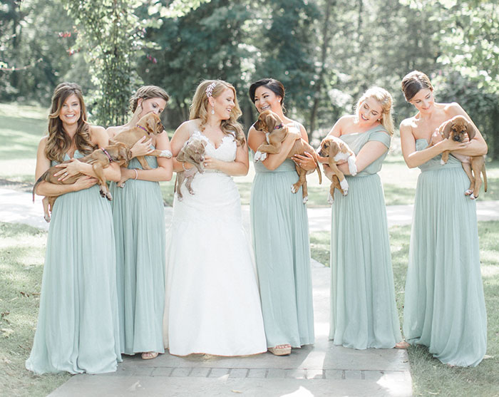 This Wedding Party Had Rescue Puppies Instead Of Flowers To Send A Beautiful Message