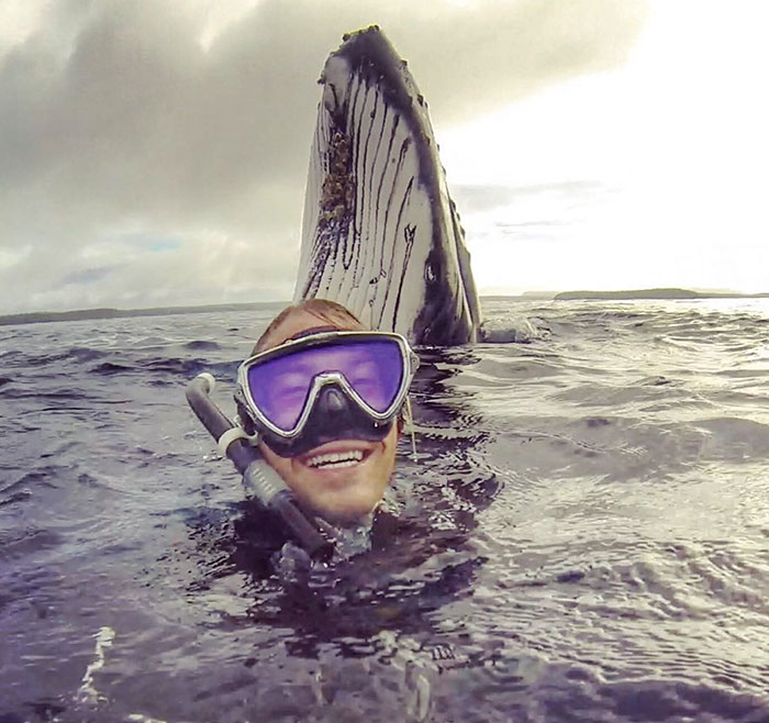 Guy Gets Photobombed By Whale
