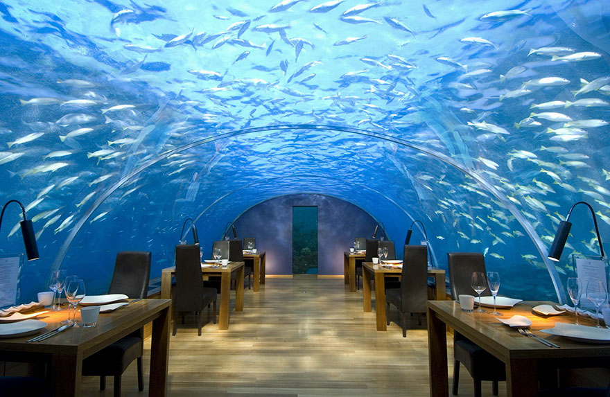 Dine Five Metres Below The Surface, Ithaa Undersea Restaurant, Alif Dhaal Atoll, Maldives