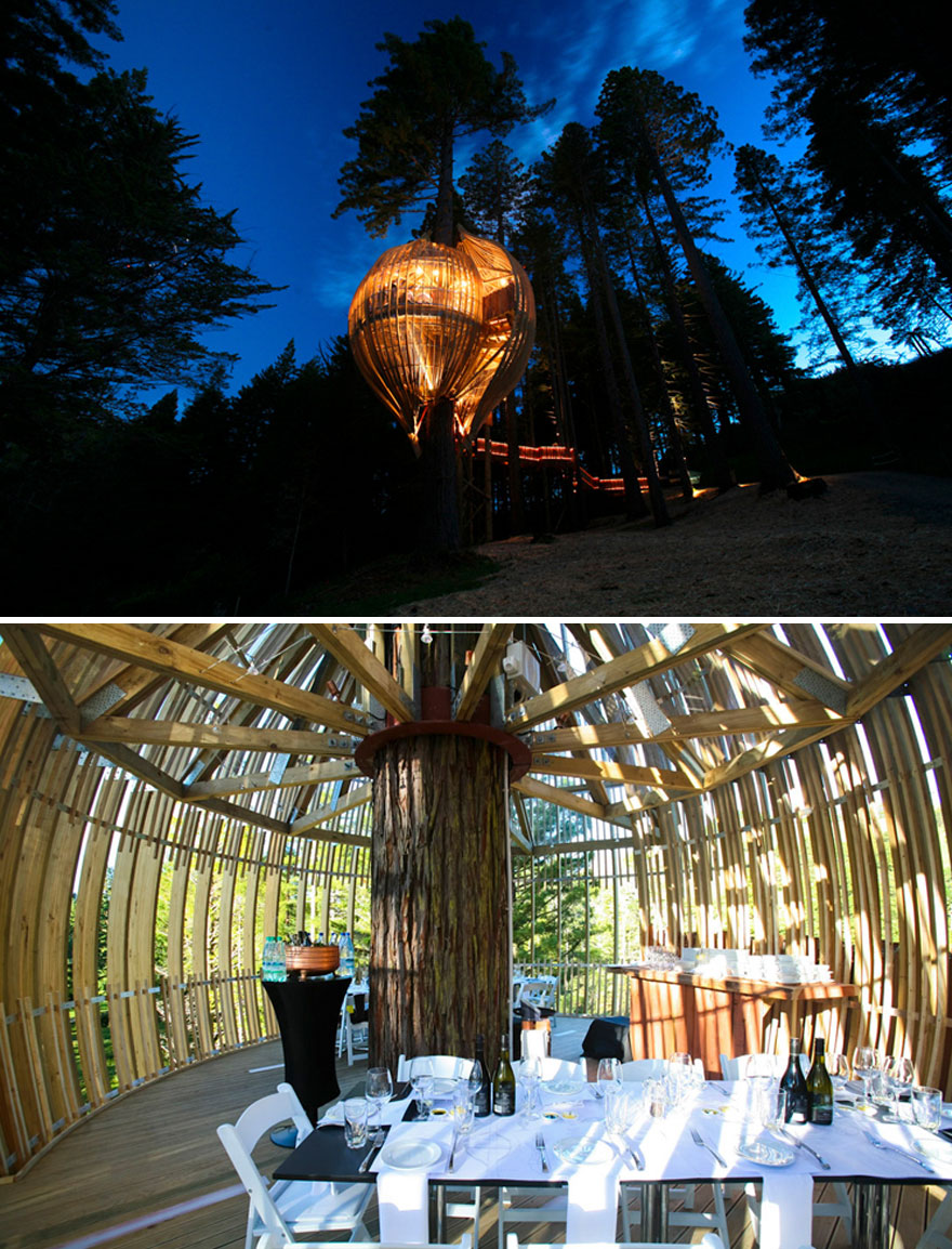 Enjoy Your Special Event In The Sustainable Tree House, Redwoods Treehouse, Warkworth, New Zealand