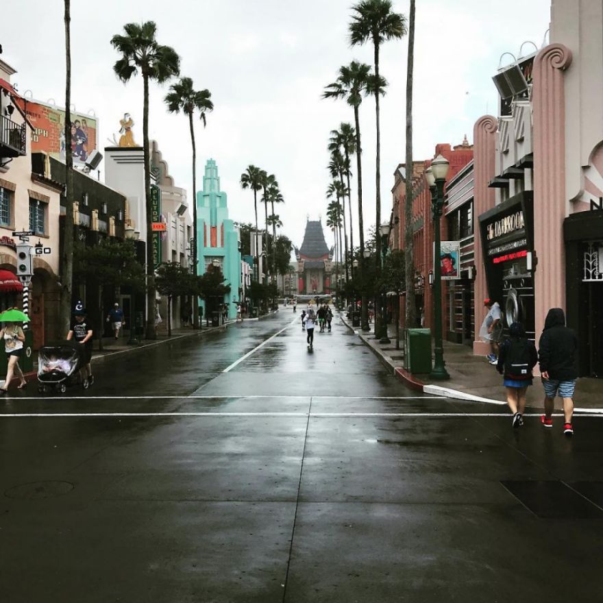 Disney World Park Closed For The 5th In History