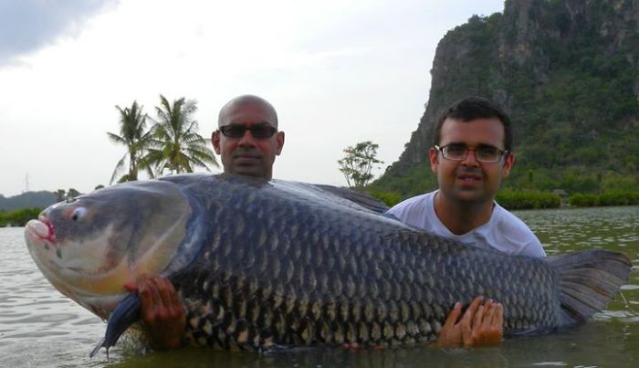 Hidden Lake In Thailand Has The Most World Record Fish