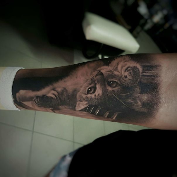 Cat portrait arm tattoo
