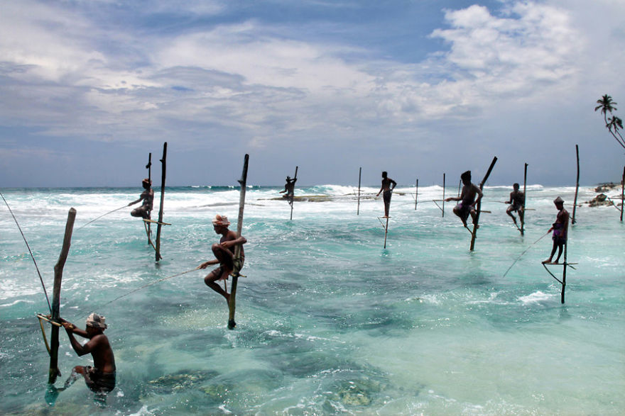 Stilt Fishing Is Practised By Several Fishermen Families In Sri Lanka (Here In Ahangama)