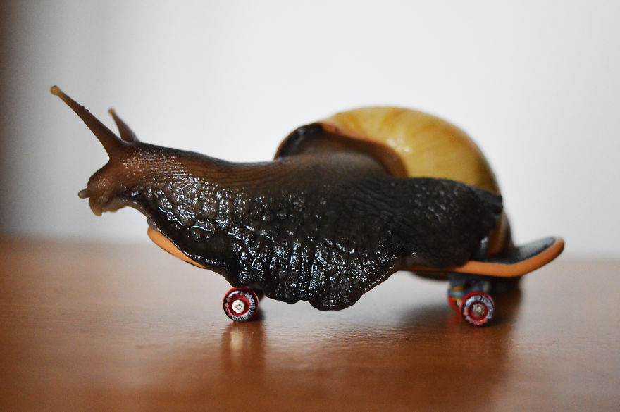 20+ Photos That Will Make You Want A Pet Snail