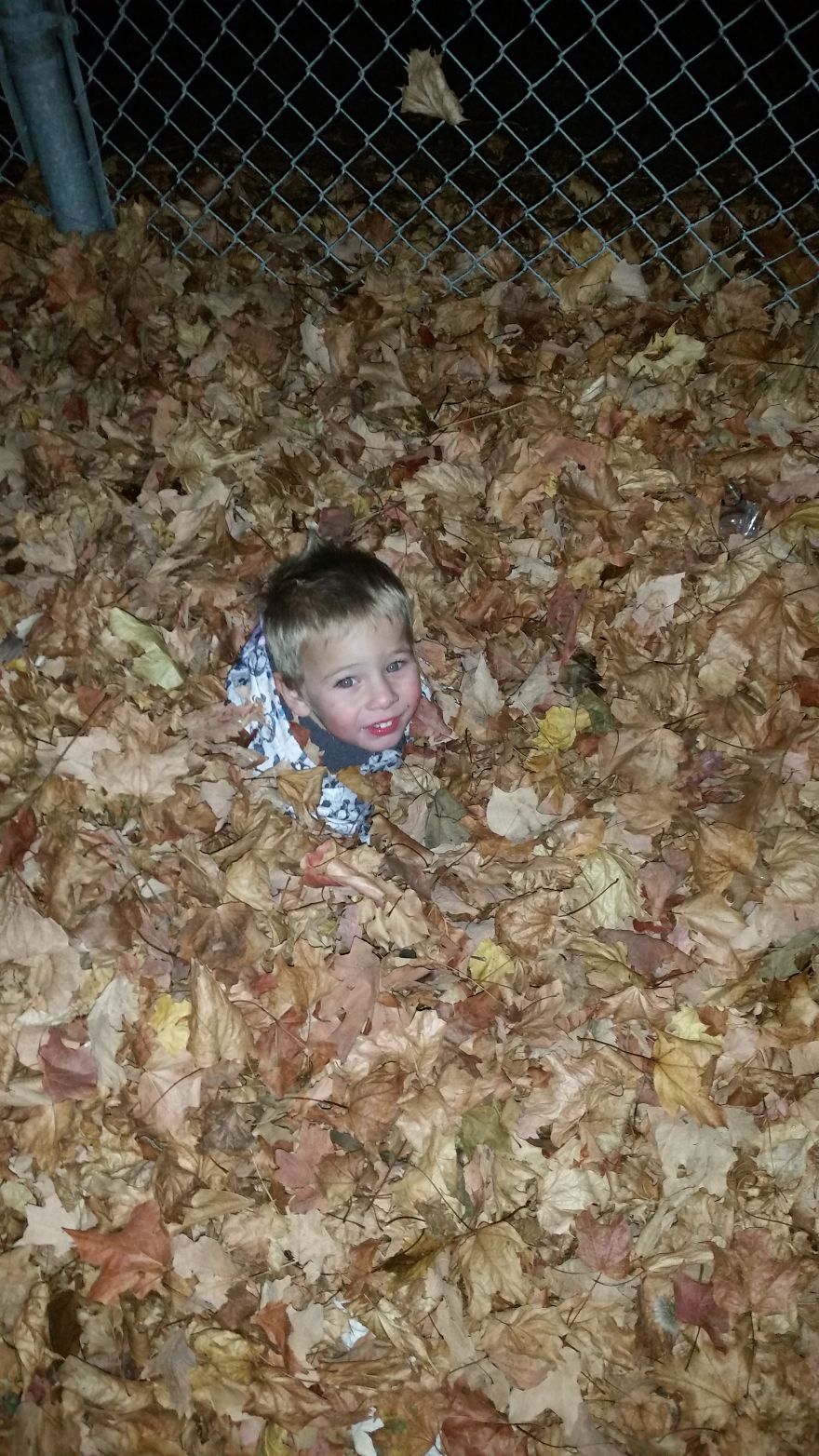 My Little Man