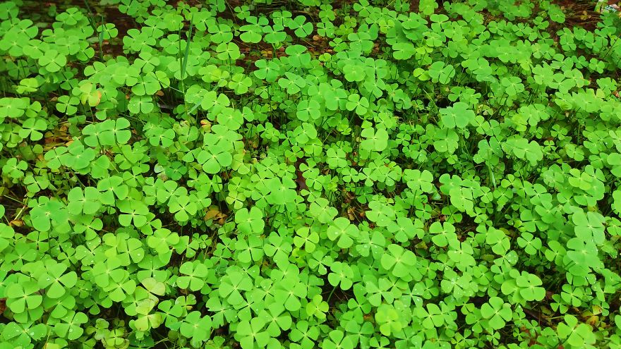 Don’t Forget Visit To Fairy Stream In Mui Ne, Vietnam Don’t Forget Visit To Fairy Stream In Mui Ne, Vietnam